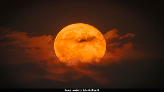 h5fi06k4_buck-moon_625x300_30_June_25