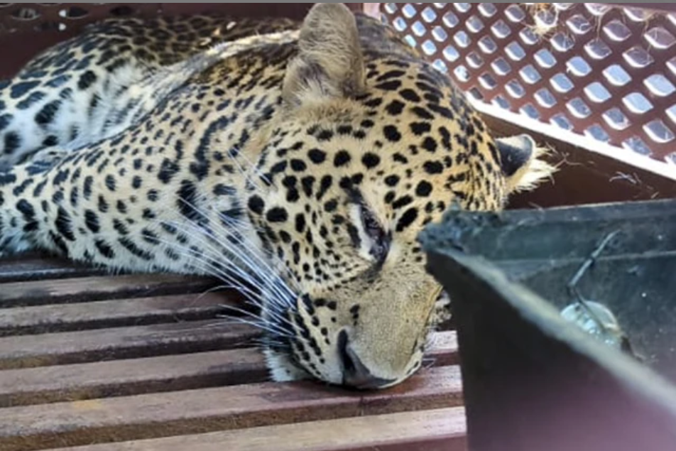 Screenshot 2025-10-06 155137